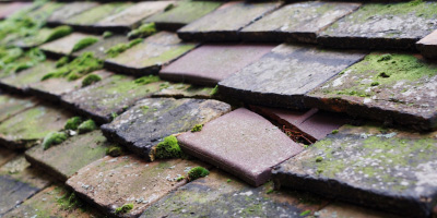 Pontamman roof repair costs